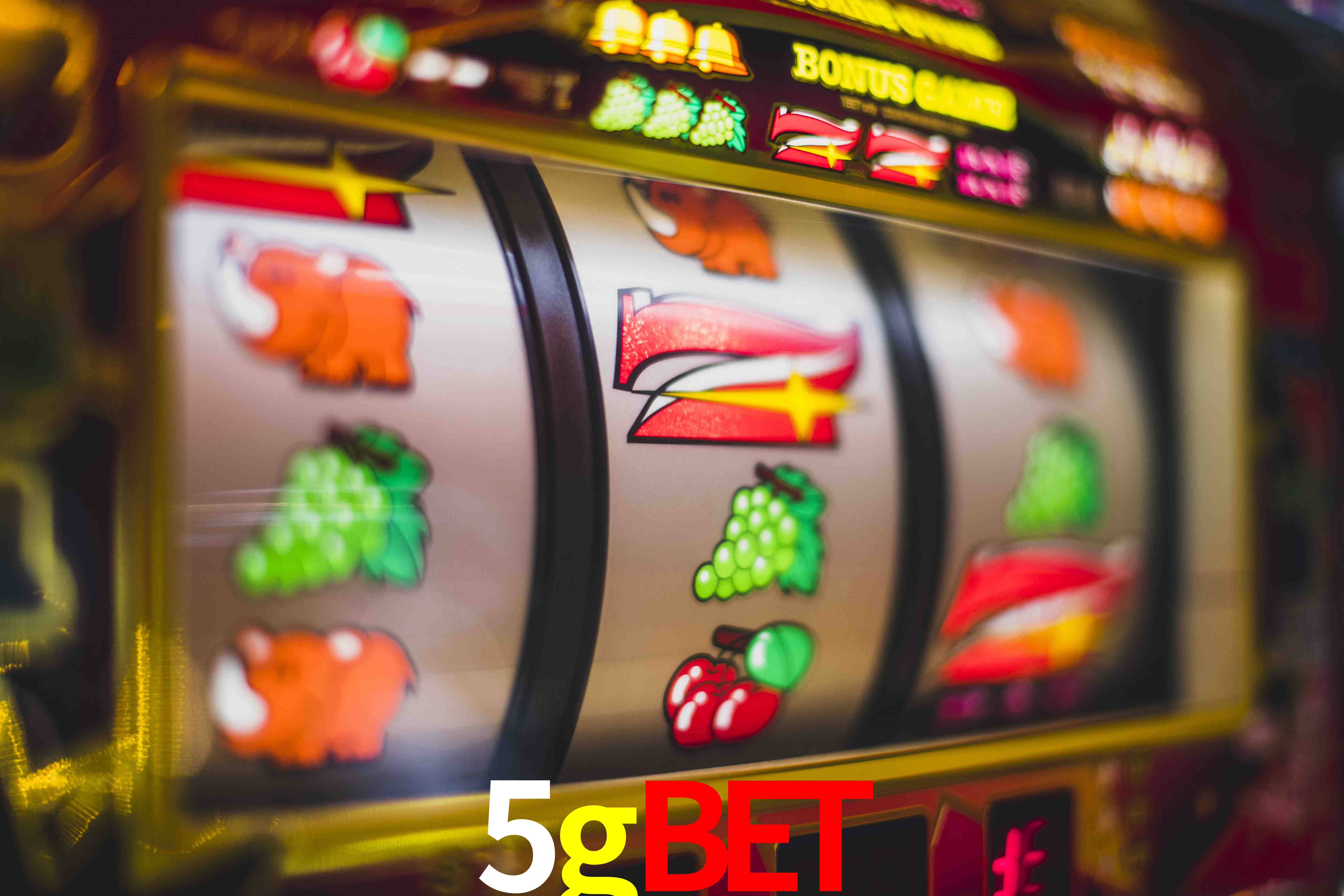 Basketball Betting 5gbet